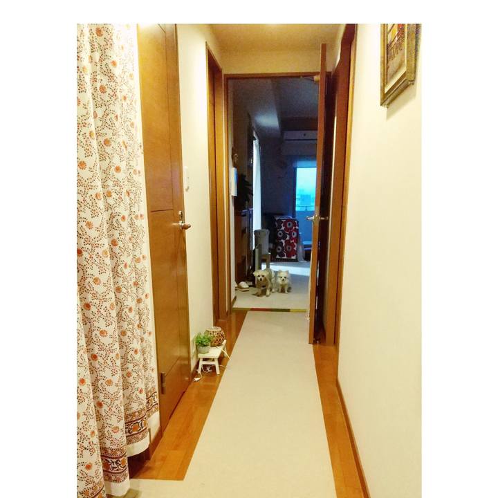 39778567 edbe 43ad ba86 fcbe00bb1a88 1665312306087