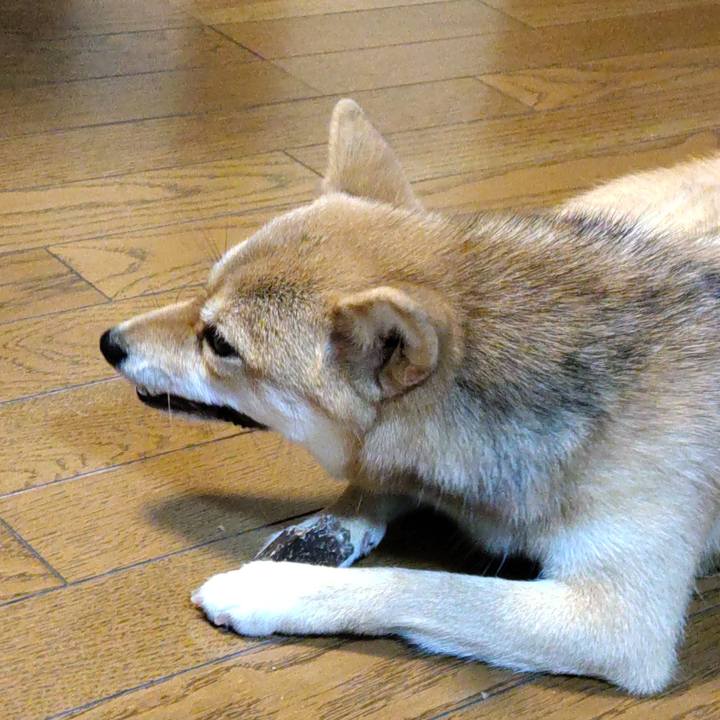 3977af7e 0991 4fe3 aedd 630b08dd7a94 1628976672629