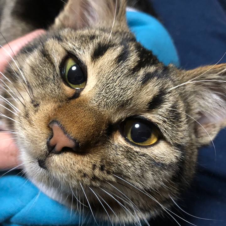 3977be55 1622 400f 8e5d 2ac0b4568d00 1736846689249