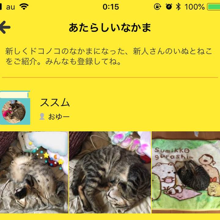 3977c722 02c1 4b17 a763 14dea6eef4a4 1536765358514