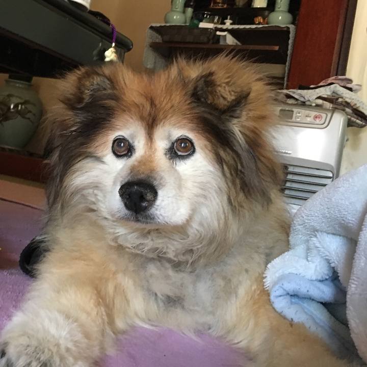 397803b2 bbae 45ed 883c 3ec68ecd4727 1582305947633