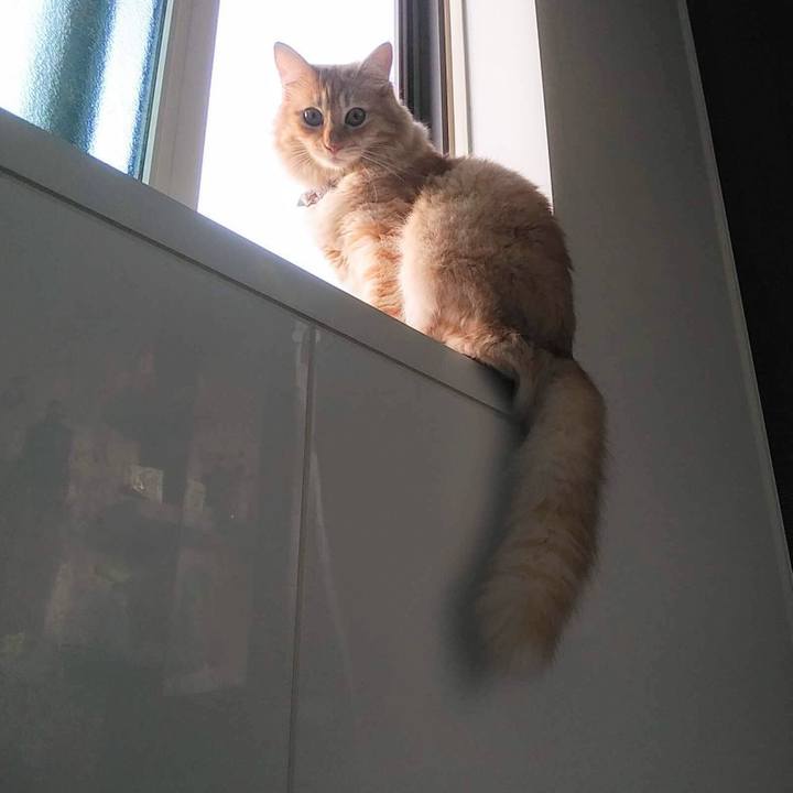 39780aad a2cc 476d 99fc 263a9a3ada8a 1633942683396