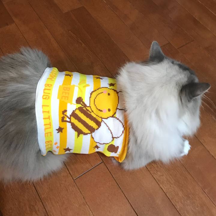 39787128 59b4 4ea4 b6d9 93d5c820507f 1517752530728