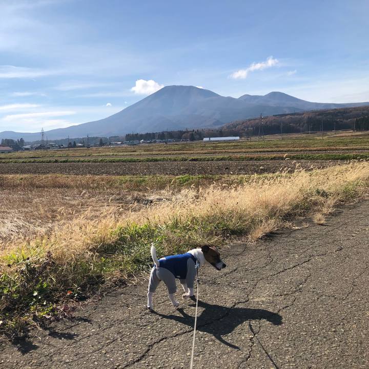 39789ab4 c786 4175 8310 fff8923f0fbd 1574568204410