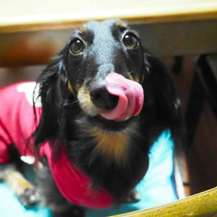 3978a2bf 832b 4f31 b31f ae26123275b7 1545478553610