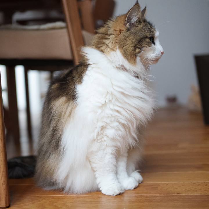 3979069d eb63 4c83 9176 c14a8fe77766 1714541041822