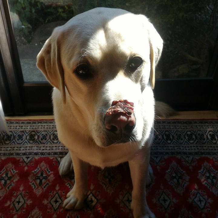 39792e0f ecaa 430d a96b 3b8db0687a13 1510457670637