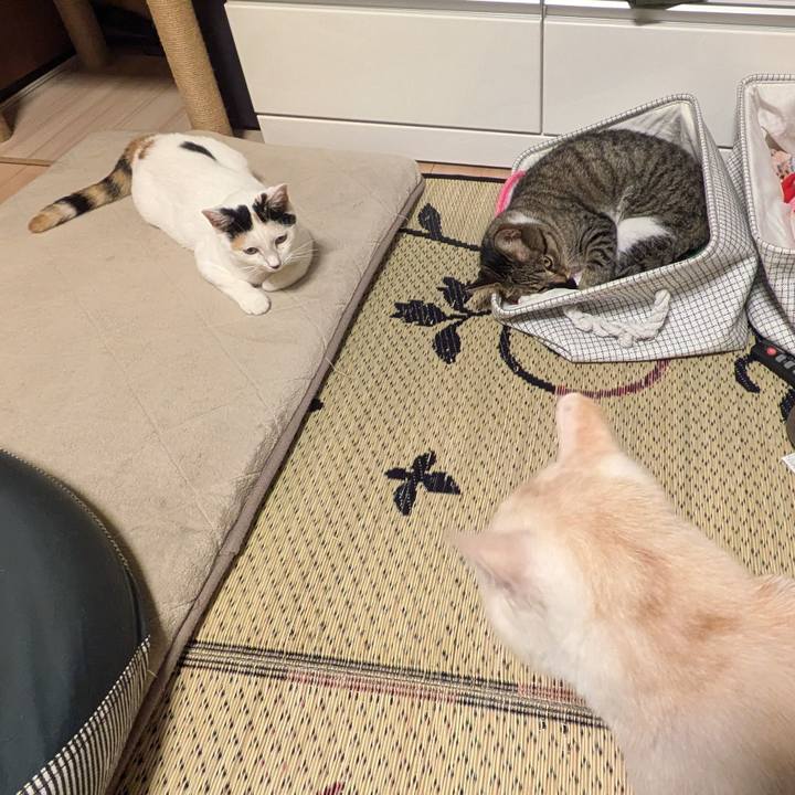 39793f55 46e2 47bb 9952 895ffe428108 1726922510284