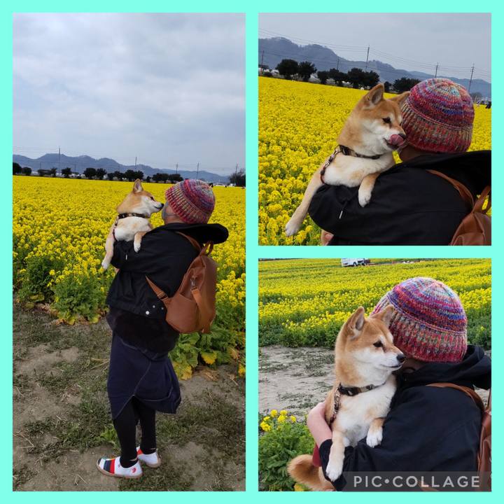 39794799 7ec8 4285 8d72 dc3a9b9e1c5d 1742455241043