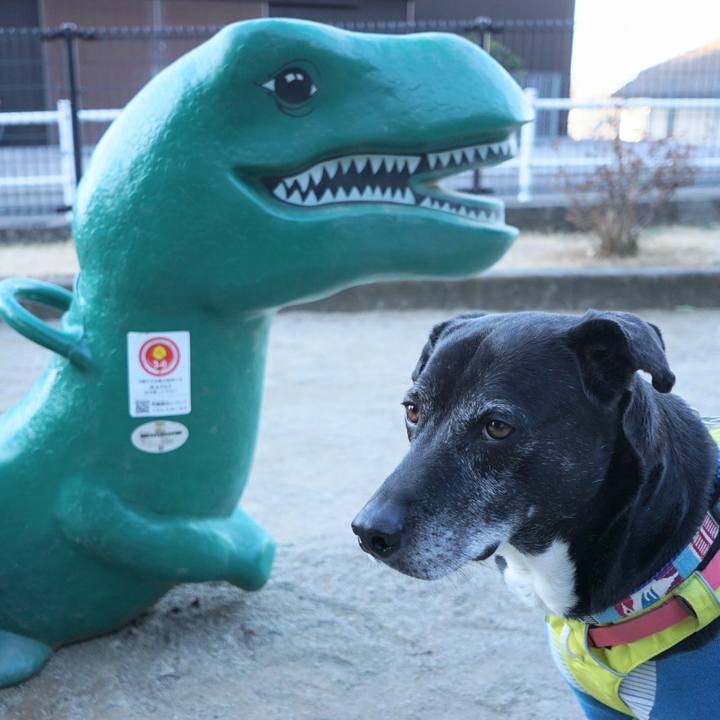 39798912 f436 4643 862e 8e974ee22ce9 1769214398206