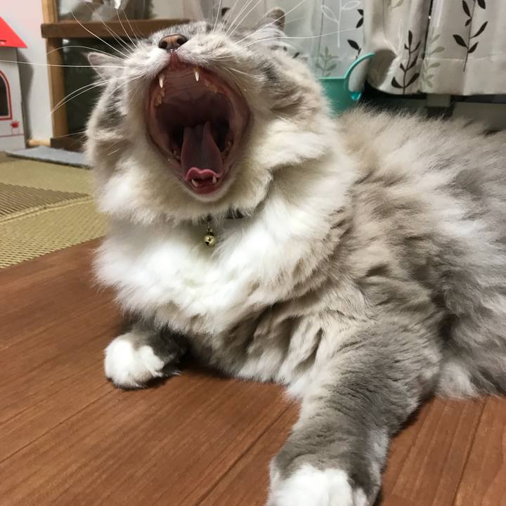 3979a1a8 ac2b 46ca a1e6 ceffb13f9f17 1535929458103