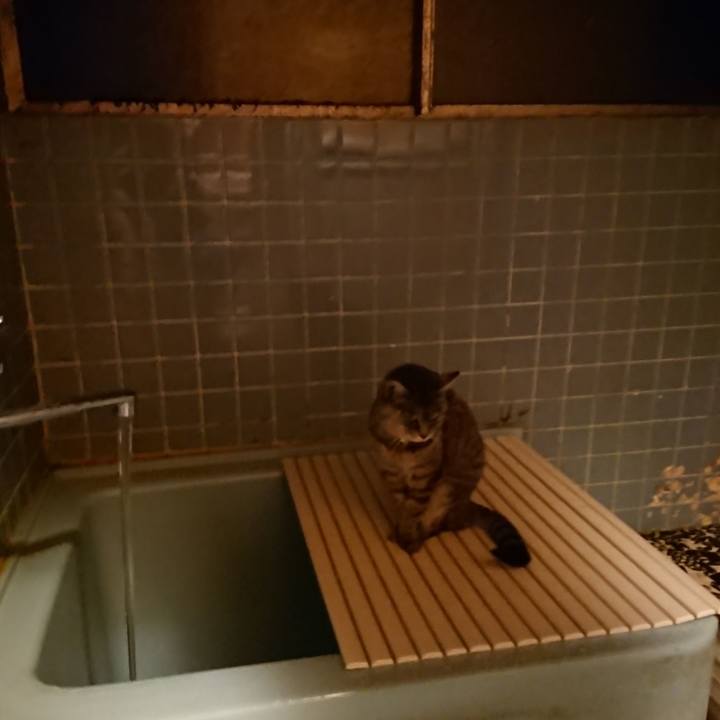 397a1316 4277 4682 ab16 9c90b7c906bf 1573892931253