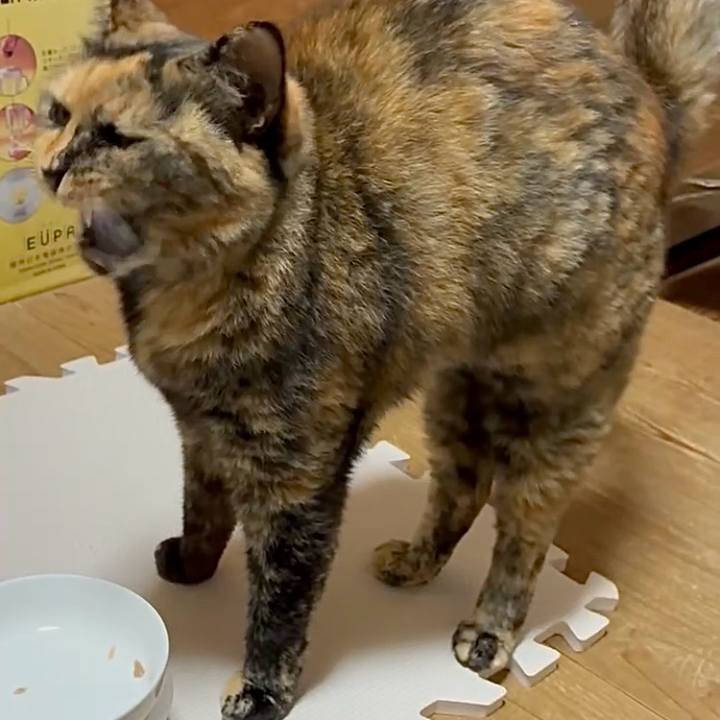 397a235b d72b 4826 b8df 1e9dbc586520 1754369073642