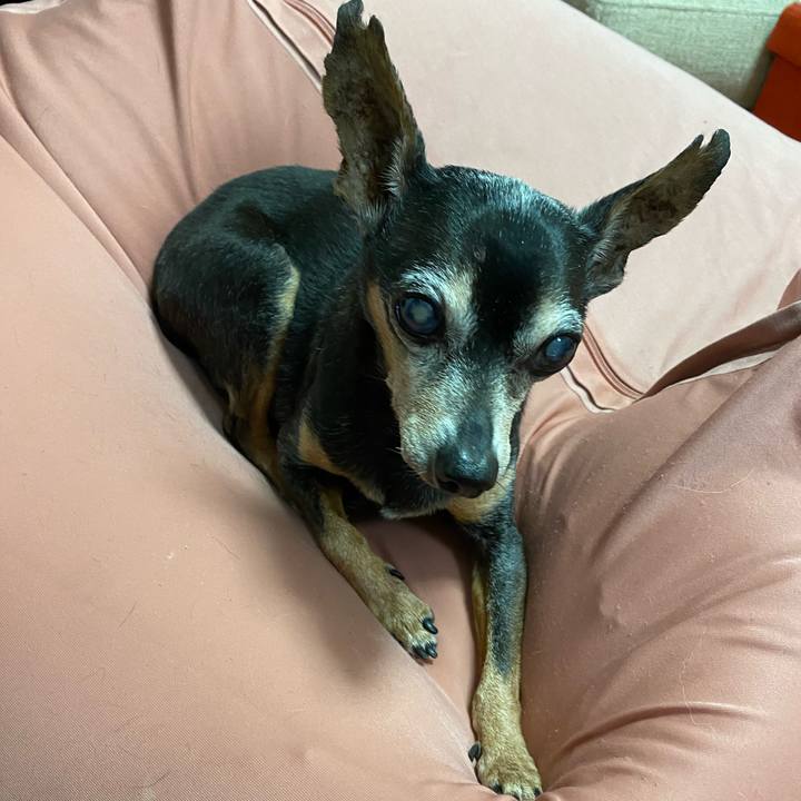 397a24ef d26f 43a7 b4a6 1f07e4388891 1598968505367