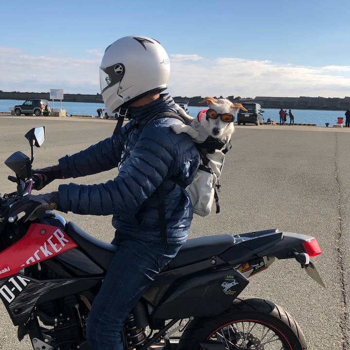 397a25a2 748d 476d 92a1 b412792cdcf4 1543052475626