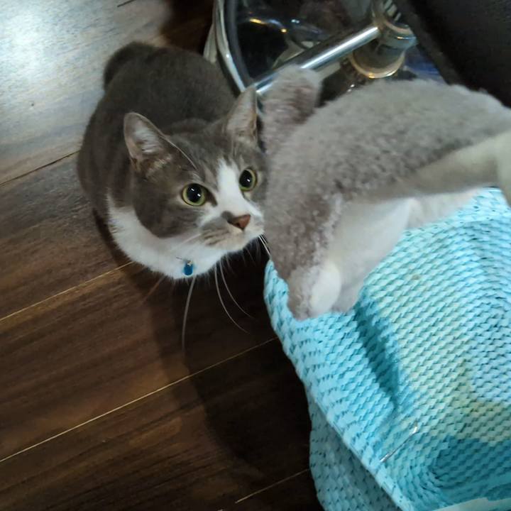 397a2dc3 ff30 433b aa58 a1b24d8b6393 1727672984986