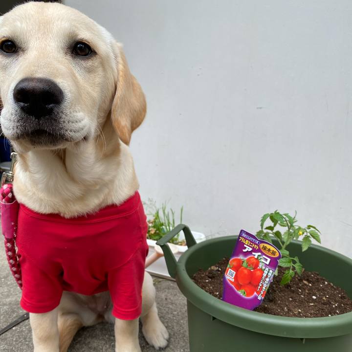 397a49ba e2c1 4302 8cd9 b252fe127253 1619166971711