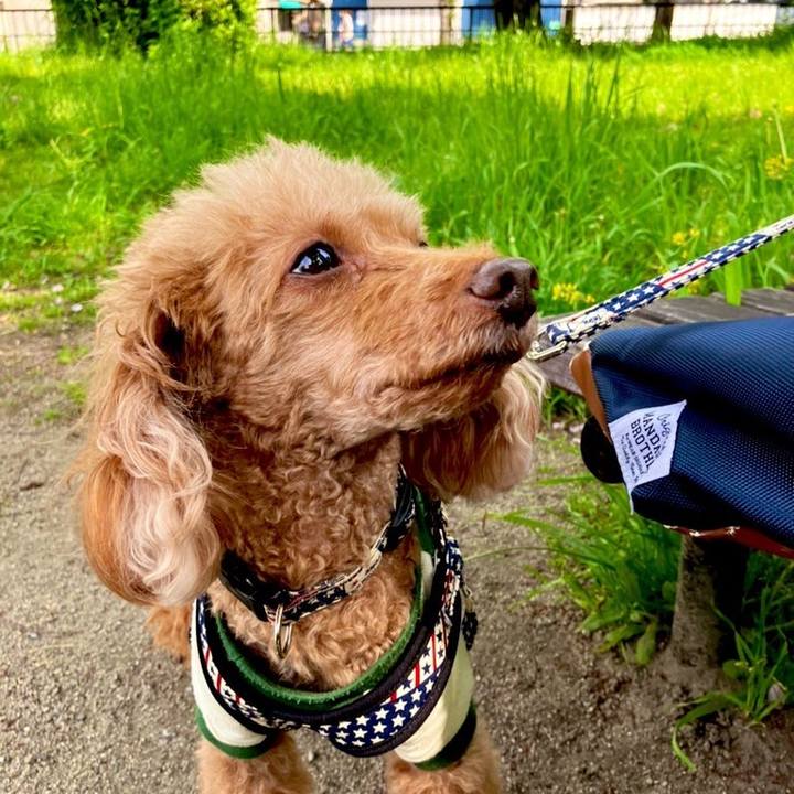 397a545d 3c20 426c 9341 b06a40a00f83 1682044488350