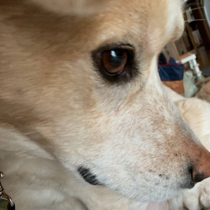 397a5848 3c25 41c3 8e52 5966a28932bb 1582286758009