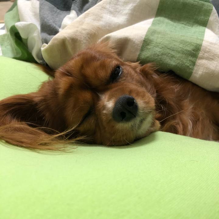 397a6718 5b5f 4204 9e31 1ca3a2da47ba 1574254603099