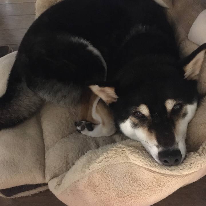 397a82c2 4315 4372 8498 fe948e78a38e 1628700205022