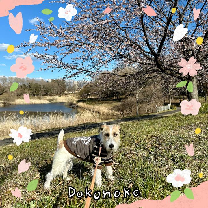 397a9d75 8f5e 4aeb 99c0 1f778ad40df8 1711093062888