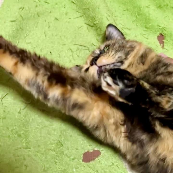 397abe71 501d 4962 a2a6 a5103c045a6f 1732857692216