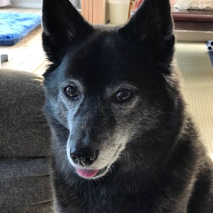 397b1881 ab48 44ca 869f 756b4fb88a76 1583924542283