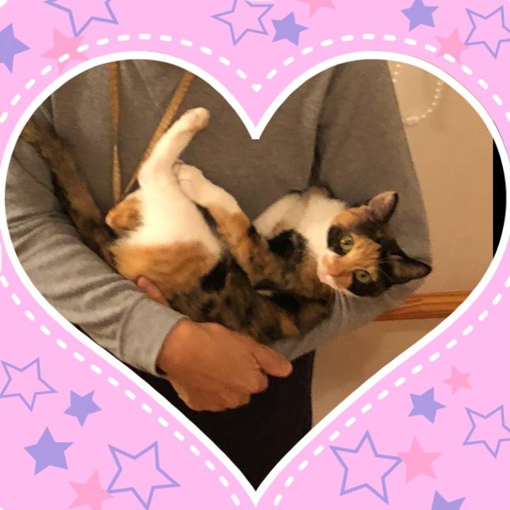 397b1d78 f430 4341 9b1b ab41476d2a98 1539698737994