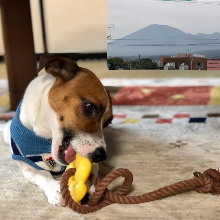 397b3fec 1a42 43a4 9e4d bd49f9b8598f 1601685998226