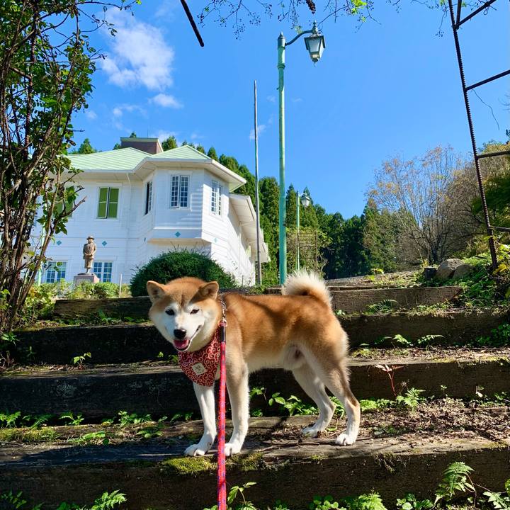 397b87bb c654 4e4c 8930 1fff4f316758 1665738413076