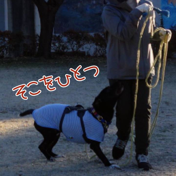 397ba39c 2edc 414d a4e0 a01311da278b 1640652878541