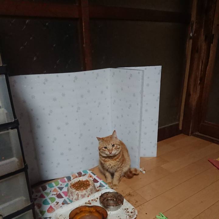 397bdb4f bf16 4614 bf34 71cf33257d13 1645134160784