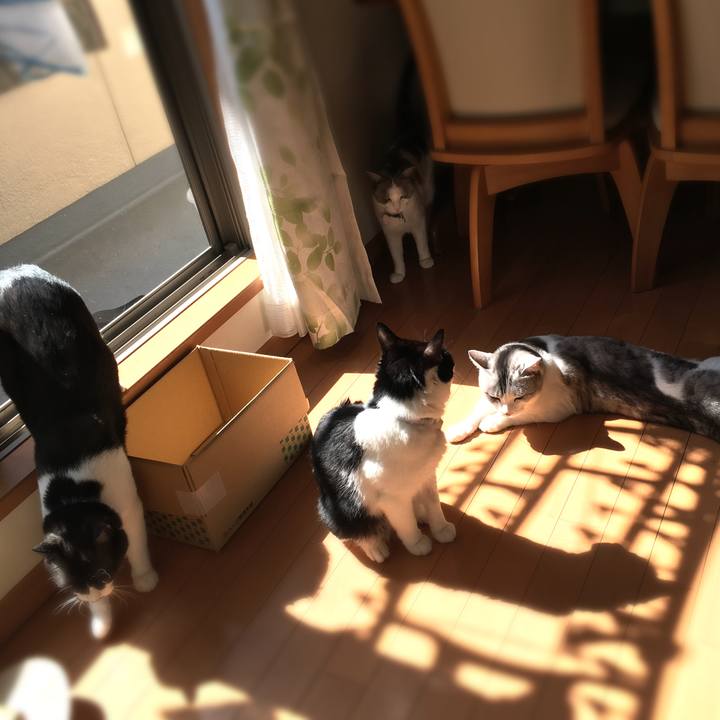 397be432 a753 4bf7 96fd 84dba66e4133 1520993439015