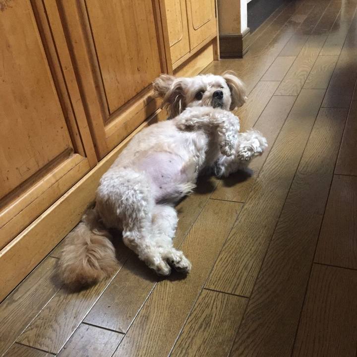 397bed69 71c8 4c56 befb 7c43c619fc72 1567079867225