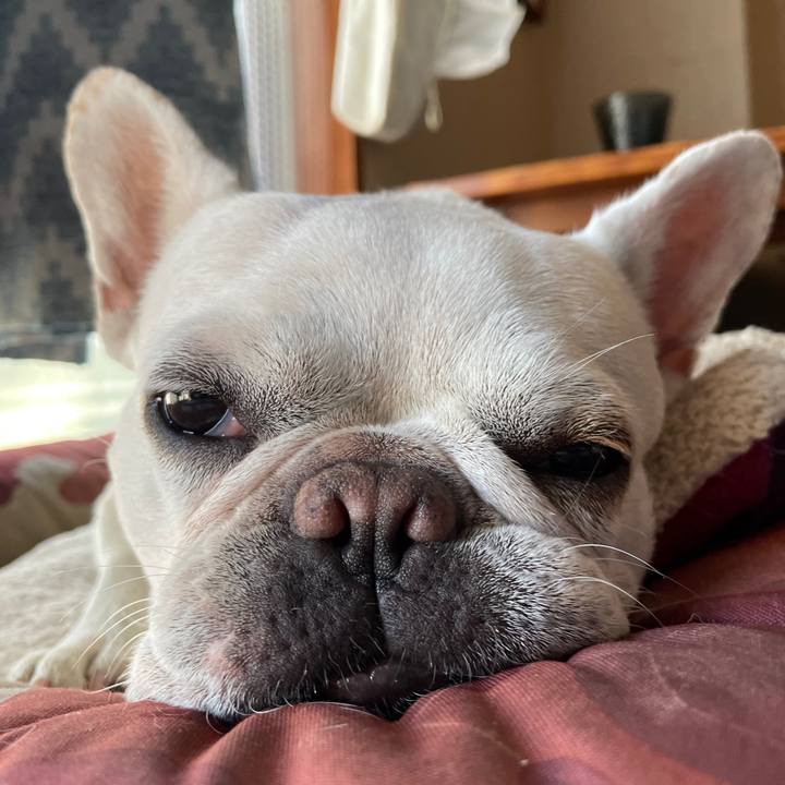 397bf53c bd03 4280 a775 0a985c56873e 1753829029582