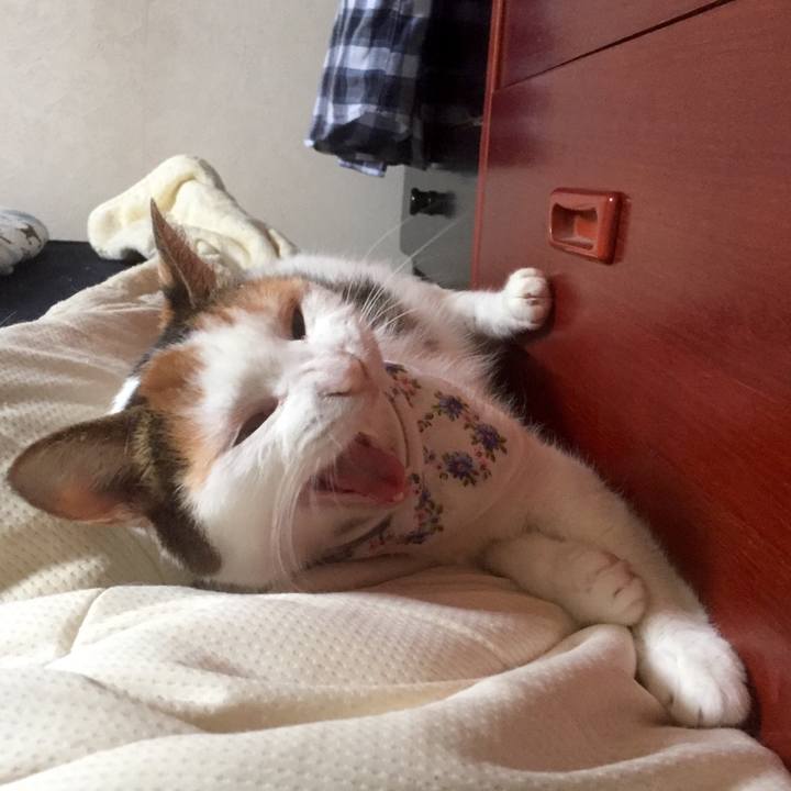 397c0834 455b 44bf 87fe d834e0cb7632 1537090293605