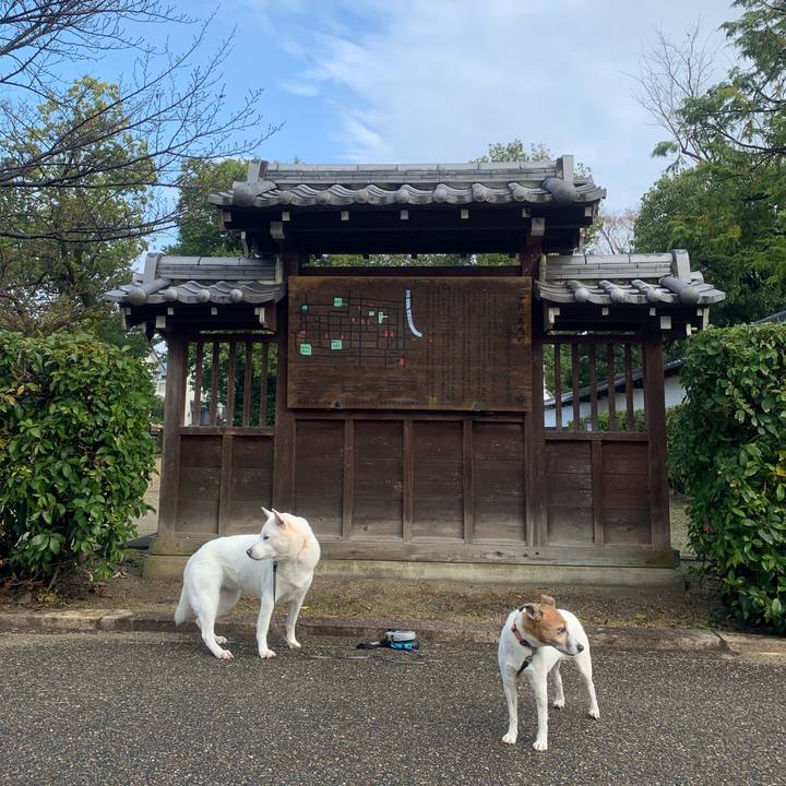 397c0d6e 9250 45c0 b6b4 b11195457ab9 1545560311137