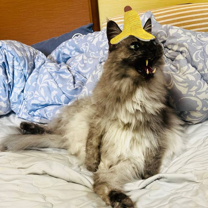 397c11bc 4532 47be 8779 658a93246427 1755992996097