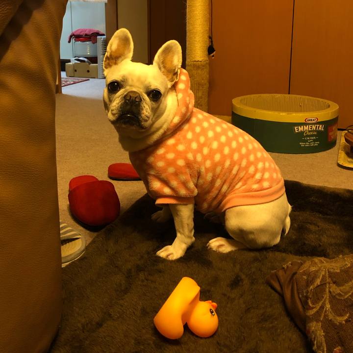 397c17fa a449 4ff1 a241 dccea3a31872 1610184258819