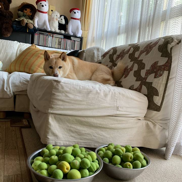 397c64ab d4e3 46ab 9d74 75e3dc9efb17 1622678111625