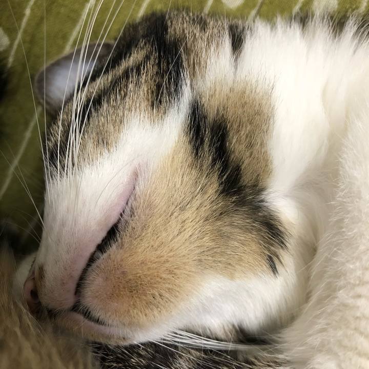 397ca178 ffc5 4acb 9bdd 44a5e7f378ce 1540019280412