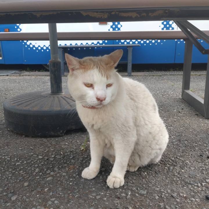 397caf97 f9c4 48e2 b3eb 118447f4a526 1751597242789