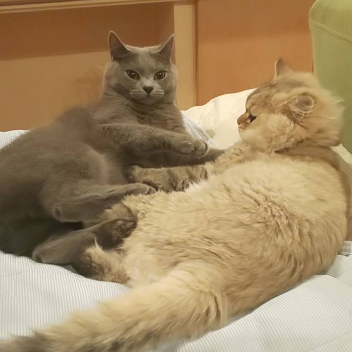 397cb3a7 a90f 4d06 8403 fdc82e415d0a 1569390957878