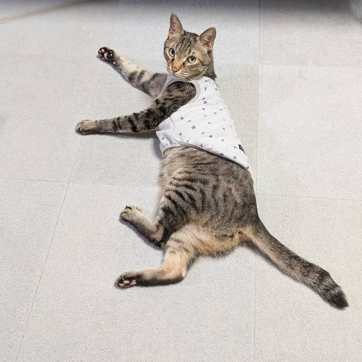 397cbb38 7a71 400a a49b 223b8a1d8bcb 1756523122471