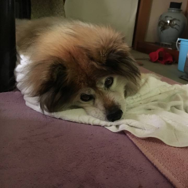 397ce202 b506 47bd 9187 52d56085aa16 1583327487190