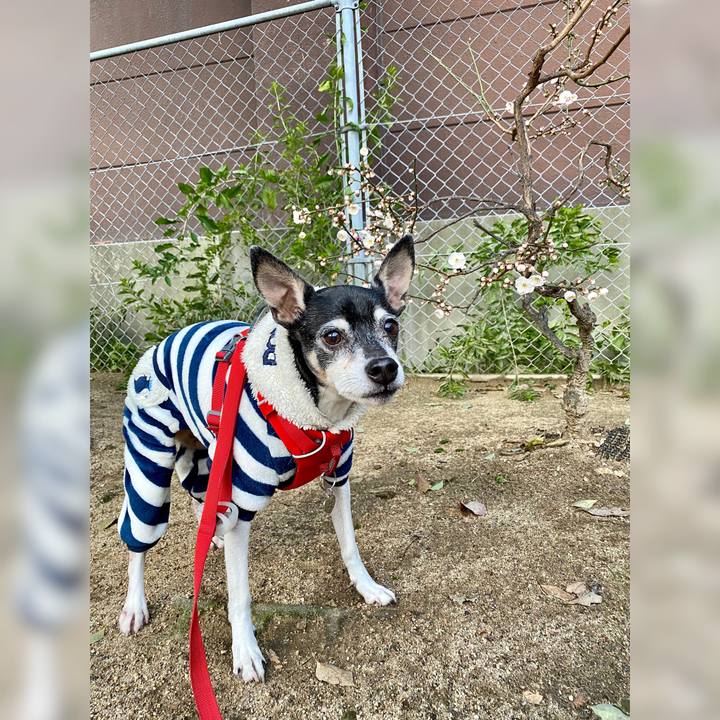 397ce972 3967 4d14 adf1 26e2409c458a 1613601768534