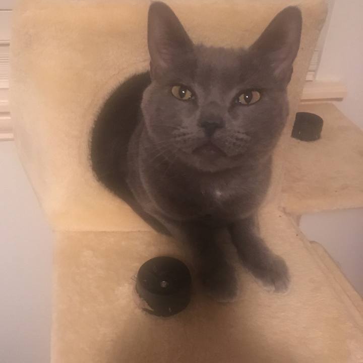 397d1acf c15d 4e31 b58b 4bf381f79ca3 1669411480867