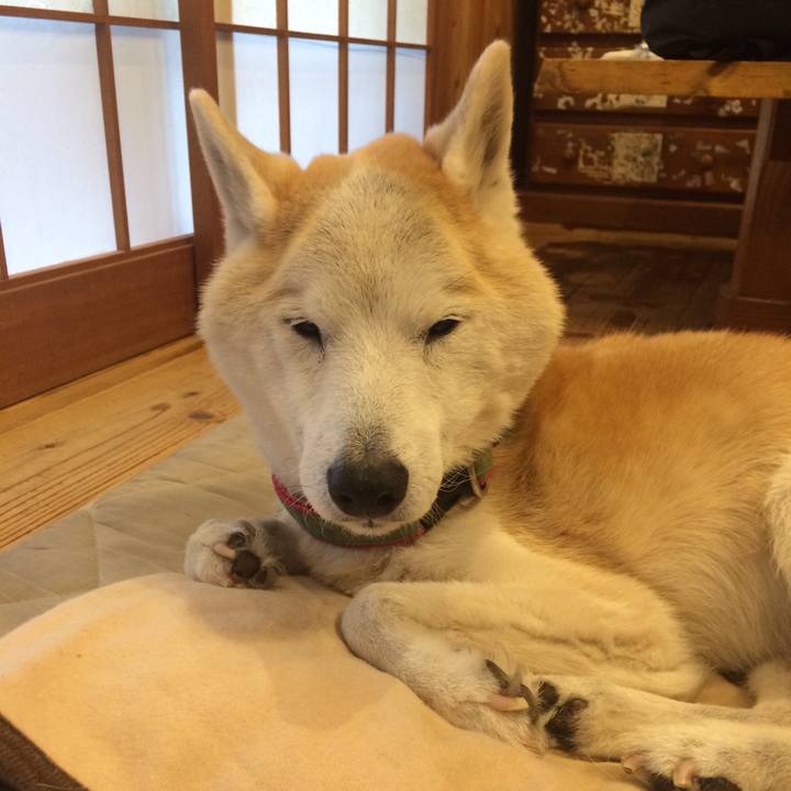 397d223e 2046 48e7 95bb cf9318e630b0 1584252639878