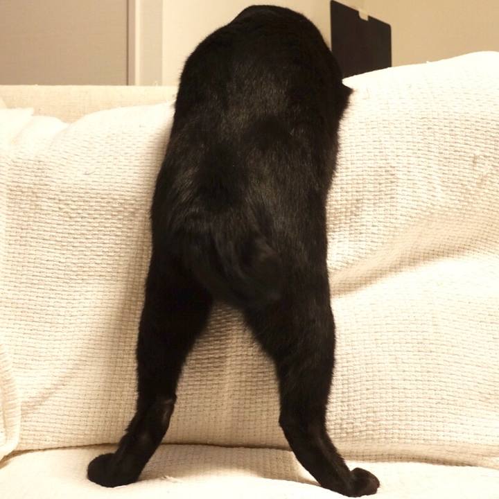 397d3401 0275 4f3e a57a 3c42f0c4224f 1548972557625